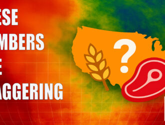 These Food & Climate Numbers Will Shock You