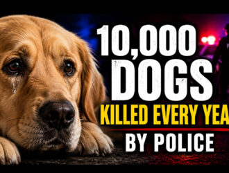 POLICE KILL 10,000 DOGS